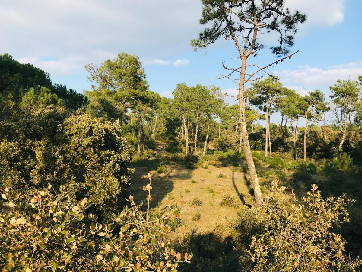 Le Miramar, Face Mer Et Standing Σαιν-Ζαν-ντε-Μον Εξωτερικό φωτογραφία